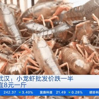白沙洲水产实时报价与行情分析