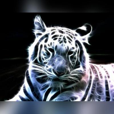 绝世邪神最新章节免费阅读