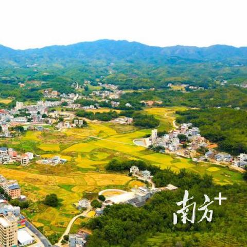 紫金蓝塘最新动态报道