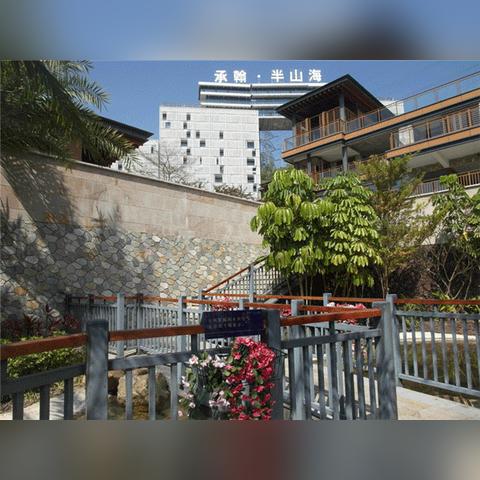 承翰半山海价格走势分析，最新数据与趋势预测