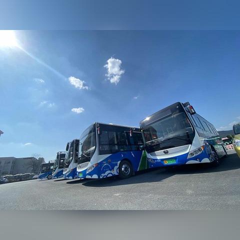 临安599最新时刻表全解析