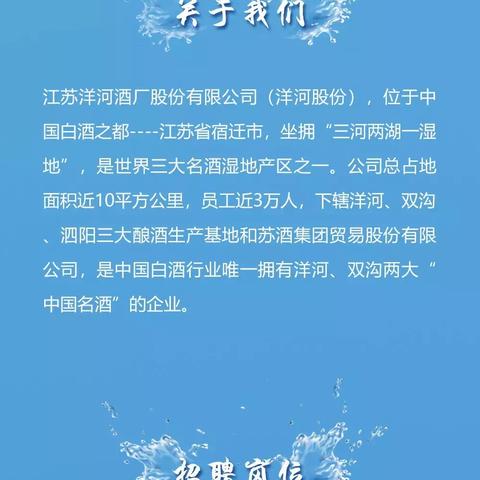 洋河酒厂官网招聘启事，寻找优秀人才加入我们的团队